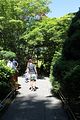 149 - Butchard Gardens  - IMG_1707